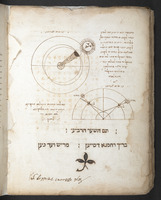 מראה האופנים.