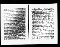 מנורת המאור.