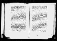 שער הארבעים בכוחות הכוכבים.