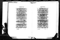 שכיות החמדה.