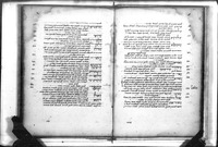 צירקא אישטנץ.
