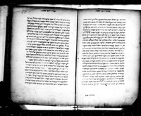 עשר אותות.