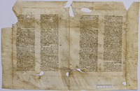 טור (ארח חיים, יורה דעה, קטעים).