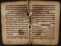 הלכות שחיטה : קבץ בענייני שחיטה.