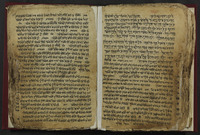 תכלאל.