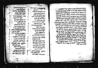 הלכות שחיטה וטרפות.