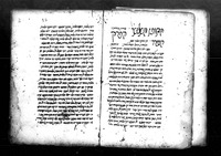 פרושים על הקאנון (ספר א) של אבן סינא.