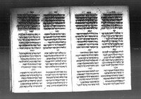תקות ישרים ושארית נפש.