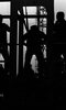 חיל הצנחנים של צה"ל ערך ביום החיל מפגן צניחה ענק שבו צנחו מאות צנחנים אל חוף תל אביב – הספרייה הלאומית