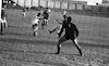 משחק כדורגל בין מכבי יפו למכבי חיפה – הספרייה הלאומית