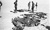 הוחזרו גופותיהם של תשעה חיילי קומנדו מצריים שנהרגו בנסיון פשיטה למוצב צה"ל בסיני – הספרייה הלאומית