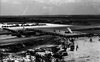 חברת התעופה הלאומית אל על קיבלה את מטוס הג'מבו הראשון שלה, בואינג 747 – הספרייה הלאומית