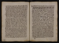 שיר חדש.