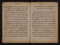 ספר הפרוציסו : משפט בעניין ירושה.