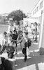 School children exercising road crossing in Tel nAviv – הספרייה הלאומית