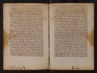 שערי צדק.