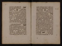 זכות אדם.