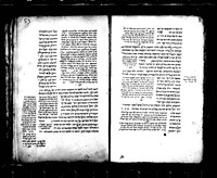 הלכות שחיטה.