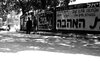 The Tel Aviv Municipality decided to change the Disengof Square – הספרייה הלאומית