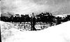 תמונה חורפית - שלג וקרח נאחזים בשיח קוצני ברמת הגולן – הספרייה הלאומית