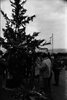The South Lebanese Christian residents prepare a gesture placing at the 'Good Fence' border with Israel a huge Christmas Tree.