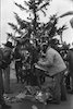 The South Lebanese Christian residents prepare a gesture placing at the 'Good Fence' border with Israel a huge Christmas Tree – הספרייה הלאומית