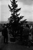 The South Lebanese Christian residents prepare a gesture placing at the 'Good Fence' border with Israel a huge Christmas Tree – הספרייה הלאומית