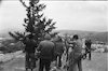 The South Lebanese Christian residents prepare a gesture placing at the 'Good Fence' border with Israel a huge Christmas Tree.