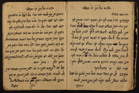 דרושים, דרשות וחדושים על פסוקים ומאמרי חז"ל.