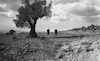 גבול ישראל-סוריה – הספרייה הלאומית