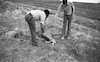 Almost 30 dead bodies of antilopes were found in the Yesashar Hights – הספרייה הלאומית