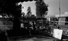 היקב במרום גולן שברמת הגולן – הספרייה הלאומית