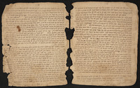 רפדוני בתפוחים.