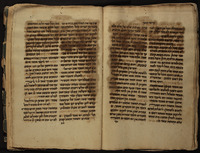 הושענות וקריאי מועד.