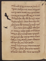 מאמר על ההבדלים בין הרבנים והקראים.