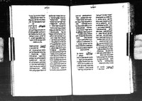 אלנפרנקינא.