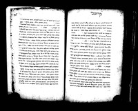 פרוש התורה.