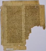 אבן העזר (קטעים).