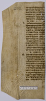 ספר מצוות קטן (קטעים ממצות רכד-רכו).