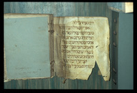 כתובים (מגלות, קטעים) : עם ניקוד וטעמים, מסורה קטנה וגדולה.