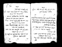 פיוטים ושירים למועדים ולהזדמנויות שונות : בעברית, לאדינו וערבית.