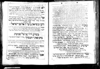 טל אורות : דיני קדושים.