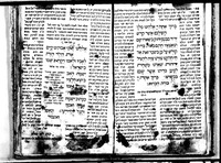 פנקס מוהל מן השנים תר"ה (1844)-תרנ"א (1891).