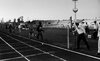 כנוס הפועל-ריצה 1500 מטר/מאמן נט הולמן/רוג'רס/סגן קאילי – הספרייה הלאומית