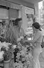 הופעה בפני חיילים ומכירת פרחים בחג – הספרייה הלאומית