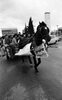 בר אילן - מבצע סוס ועגלה – הספרייה הלאומית