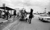 בר אילן - מבצע סוס ועגלה – הספרייה הלאומית