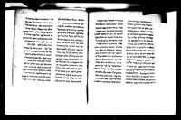 הלכות שמחות ופסקים מהלכות אבלות.