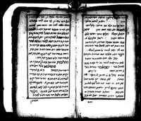 הלכות שחיטה : מקובץ ממחברים שונים.