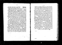 מדרשי התורה.